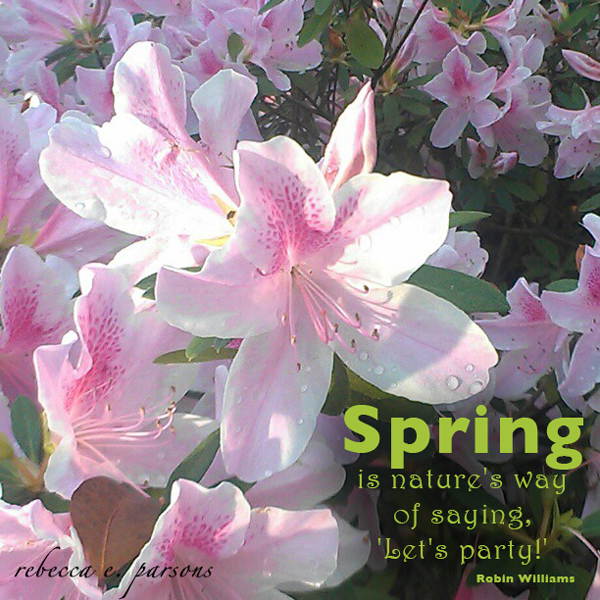 SPRING-party-quote-photography-by-rebecca-parsons
