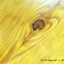 heart in wood at my table