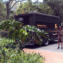 UPS delivery man #Deliciouspairings