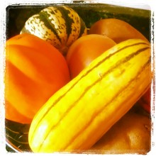 Thanksgiving Harvest Sunday Inspiration Image #59 photography by Rebecca E. Parsons