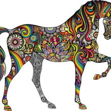 The multi-colored horse of my imagination