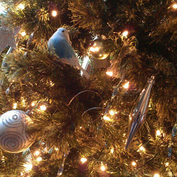 Christmas Traditions Lanai Tree