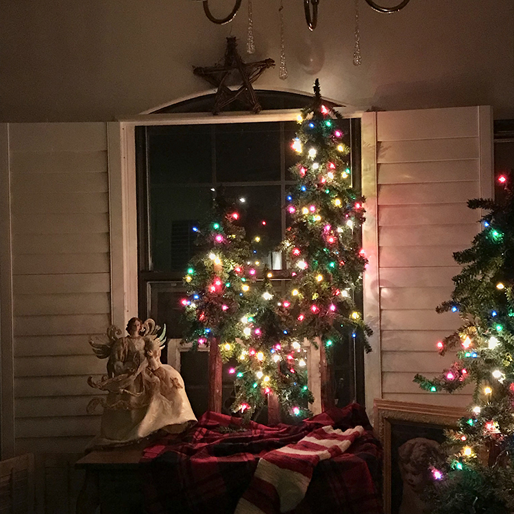 Red and Green Holiday Decor Christmas Trees at Night