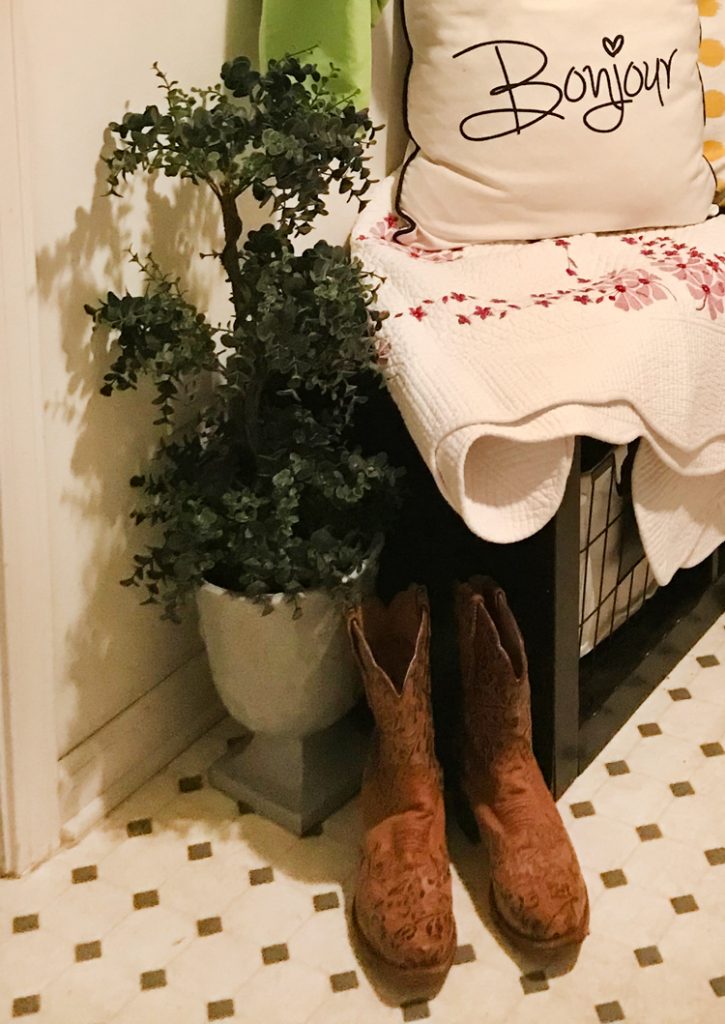 Plants and Boots